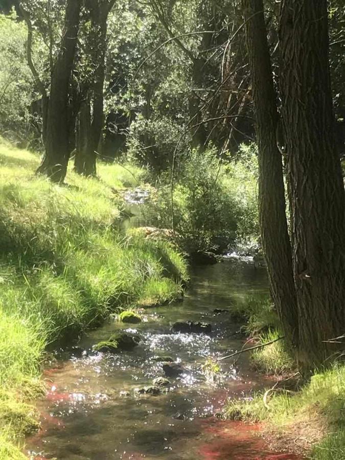 Apartamentos El Mirador Villarroya de los Pinares Dış mekan fotoğraf